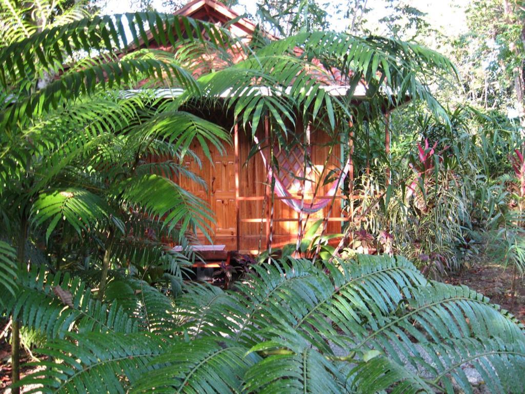 Coral Hill Bungalows 卡维塔 外观 照片