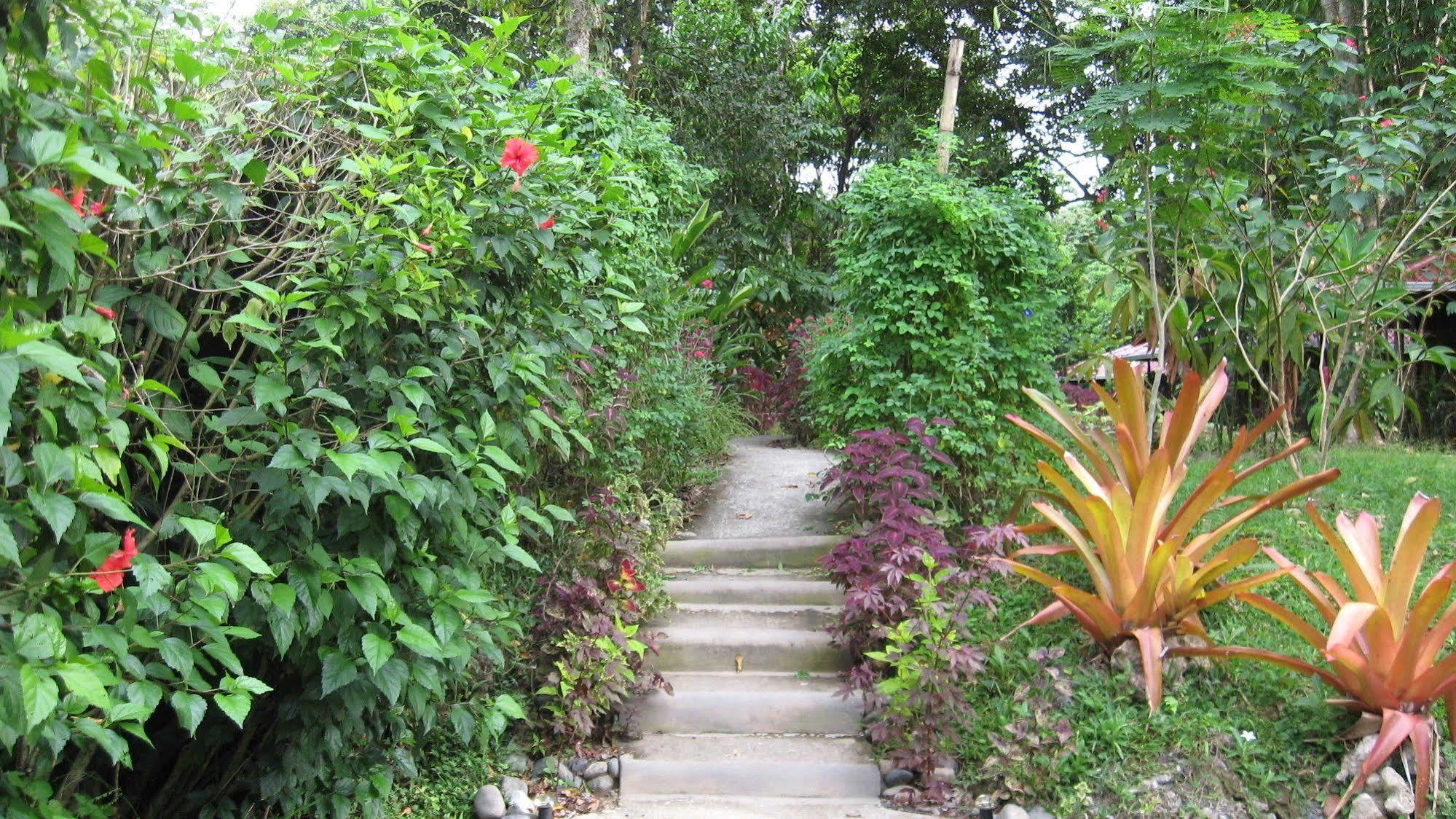 Coral Hill Bungalows 卡维塔 外观 照片