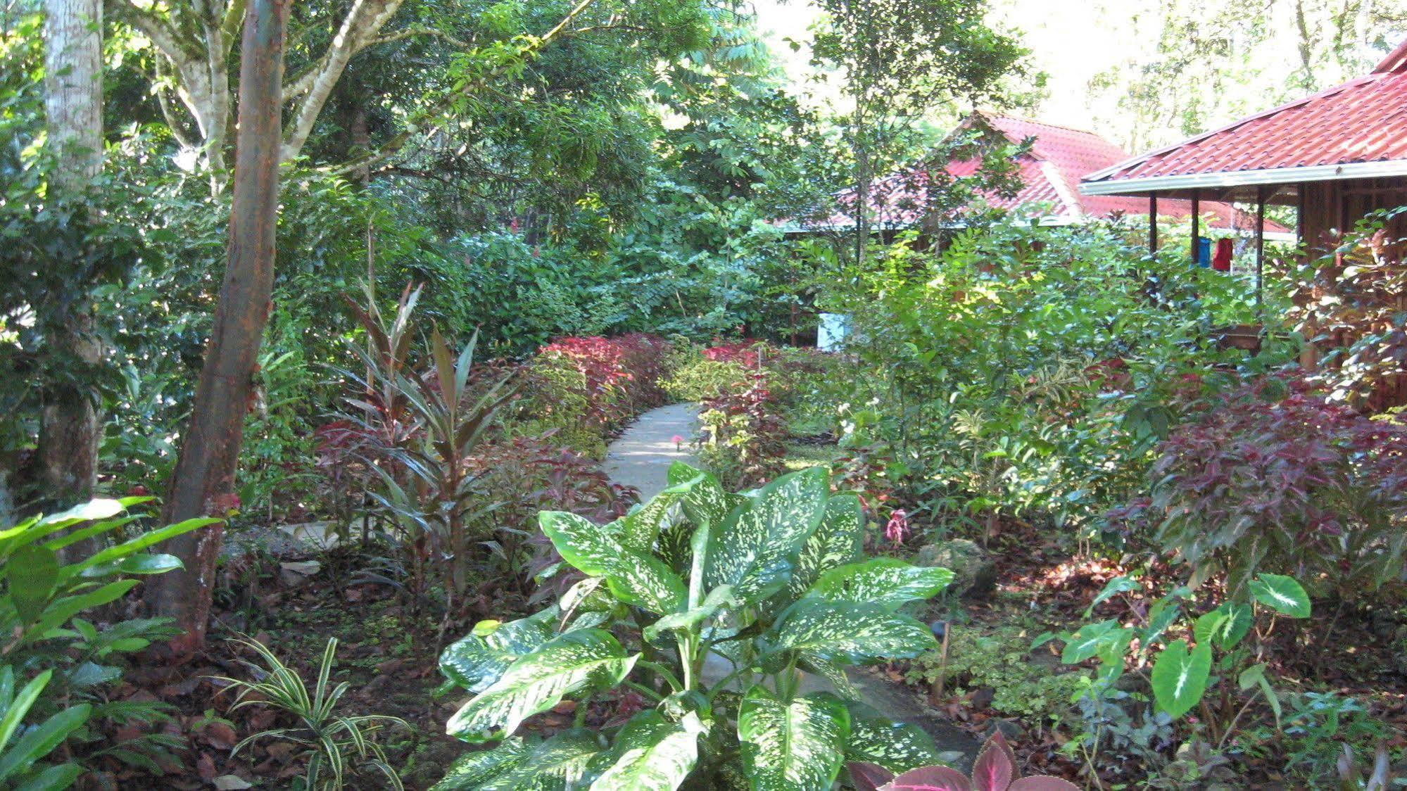 Coral Hill Bungalows 卡维塔 外观 照片